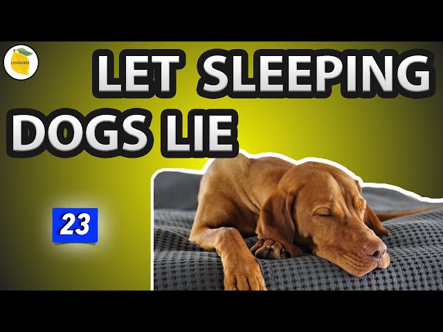 Let The Lying Dog Sleep