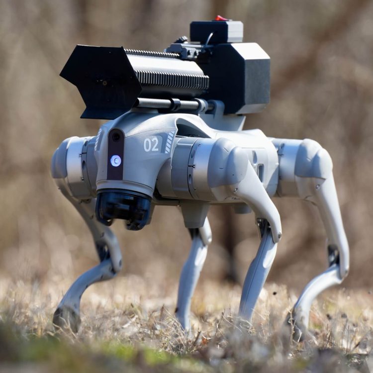 The Thermonator: A Comprehensive Look at the Flamethrower Robot Dog