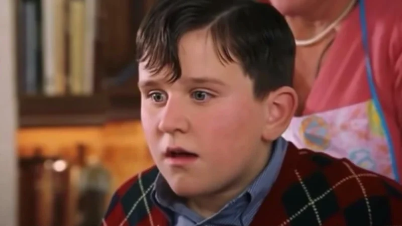 Dudley Dursley: A Complex Character in the Harry Potter Universe